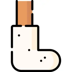 Leg