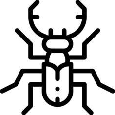 Stag beetle