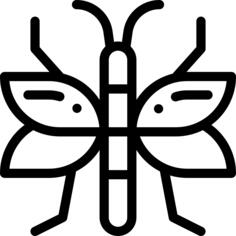 Bug