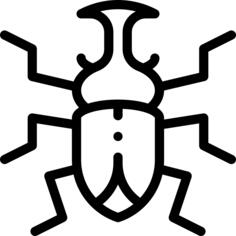 Bug