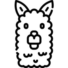 Llama