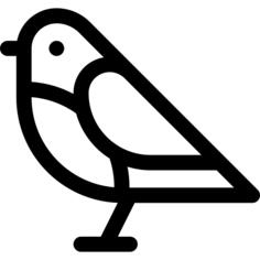 Robin