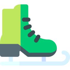 Ice skate