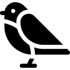 Robin