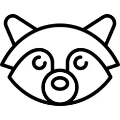浣熊