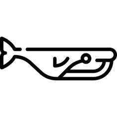 鲸