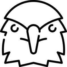 鹰