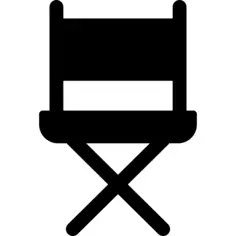 Director chair
