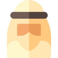 Sheik