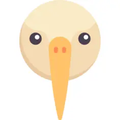 信天翁