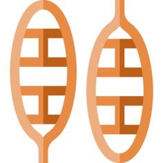 Snowshoes