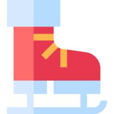 Ice skate