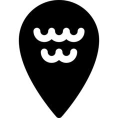 Pin