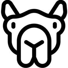 Camel