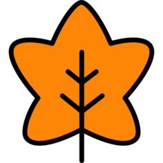 枫叶