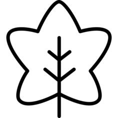 枫叶