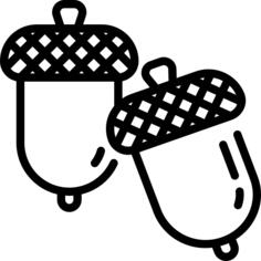 Acorn