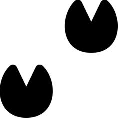 Hoof