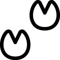 Hoof