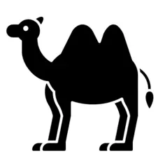 Camel