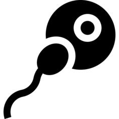Fertilization