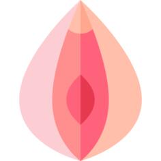 Vagina