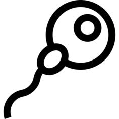 Fertilization