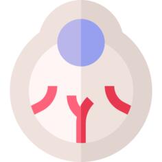 眼球