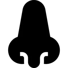 鼻子