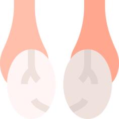Testicles