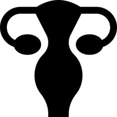 Uterus