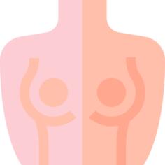 Breast
