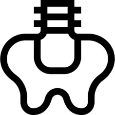 骨盆