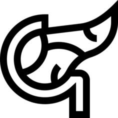 Pancreas