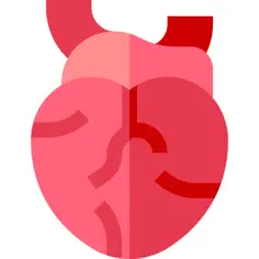 Heart