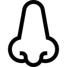 Nose