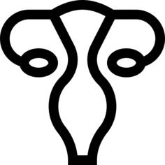 Uterus
