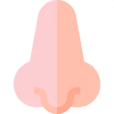 鼻子