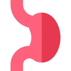胃