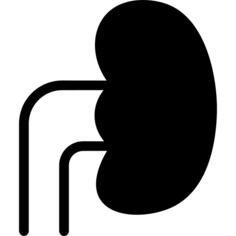 肾