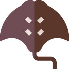 Manta ray