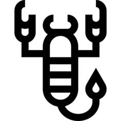 蝎