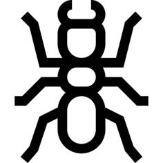 蚂蚁