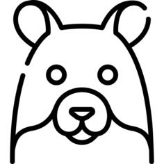 Hamster