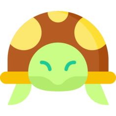 龟