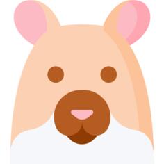 Hamster