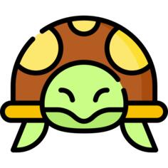 龟