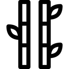 Bamboo