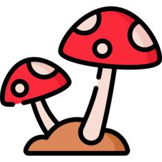 蘑菇