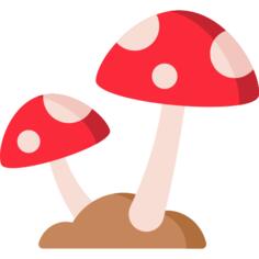 蘑菇